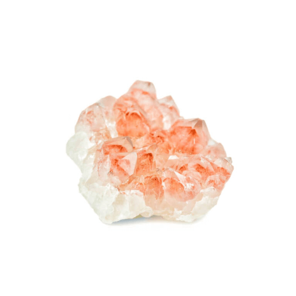 Product 6