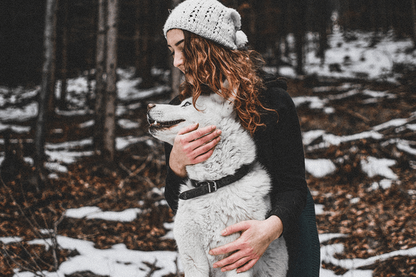 Aetheris Rise Initiative