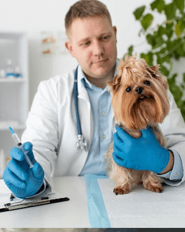Liam Carter
